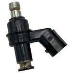 Fuel Injector for 170i Genuine Buddy, Hooligan