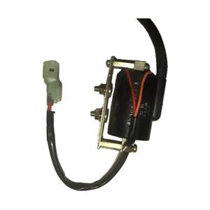Ignition Coil for 170i Genuine Buddy - Image 2