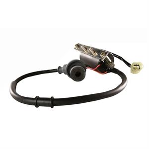 Ignition Coil for 170i Genuine Buddy
