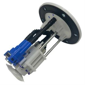 Fuel Pump for Genuine Buddy Kick