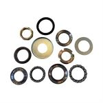 Fork Bearing Set, Triple Tree for 50cc - 200i Genuine Urbano, Rattler