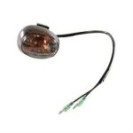 Turn Signal Assembly, Front Left (Tint) for 50cc - 170i Genuine Buddy, RH