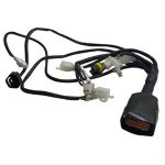 Wire Harness, ECU for 125cc 4-Stroke Genuine Stella Auto