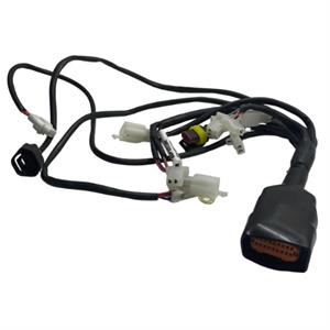 Wire Harness, ECU for 125cc 4-Stroke Genuine Stella Auto