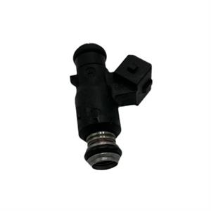 Fuel Injector for 200i Genuine Urbano, Rattler - Image 2