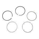 Piston Rings for Genuine Venture
