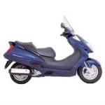 Foresight 250 4T L/C (FES250)