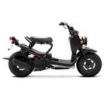 Ruckus 50 4T L/C (NPS50)