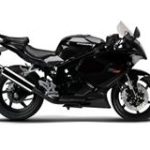 GT250R 4T EFI