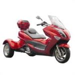 Magnum (PST300R) 300 4T L/C