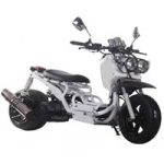 PMZ150-19 (Maddog) 4T A/C