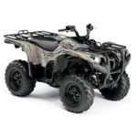 Grizzly 700