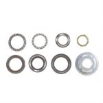Triple Tree Fork Bearings Set for Wolf CF50