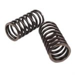 Cylinder Valve Inner Springs for 125cc Lance Scooters