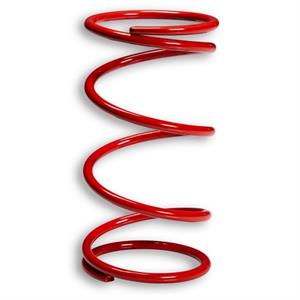 Clutch Torque Spring, Malossi for 150cc Honda ADV - Image 2