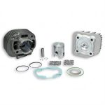Cylinder Kit w/Head, Malossi 40mm Replacement for 50cc 2-Stroke A/C Minarelli Based Scooters
