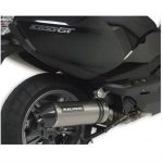 Exhaust, Malossi Maxi Wild Lion (Stainless) for BMW 650 >'16