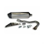 Exhaust, Malossi RX for 125cc - 150cc Honda PCX