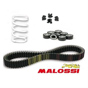 Tuning Kit, Malossi for Yamaha Majesty 400 '00-08