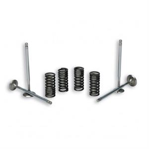 Valves Set, Malossi for 200cc - 300cc Vespa, Piaggio Scooters