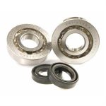 Crankshaft Bearings for 50cc 2-Stroke Piaggio, Vespa Scooters