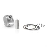 Piston Kit, Replacement for 300i Honda Forza, SH300i