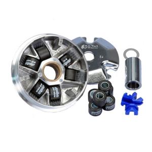 Variator Kit, Polini for 50cc 2-Stroke Genuine Buddy, RH
