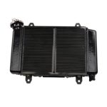 Radiator for 250cc ATVs