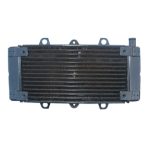 Radiator for 300cc ATVs