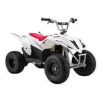 Dirt Quad