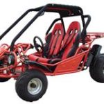 110cc Go Karts