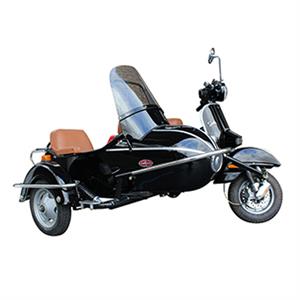 Sidecar for 125cc 4-Stroke Genuine Stella Automatic