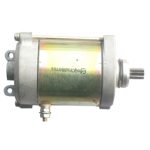 Starter Motor for 300cc ATVs