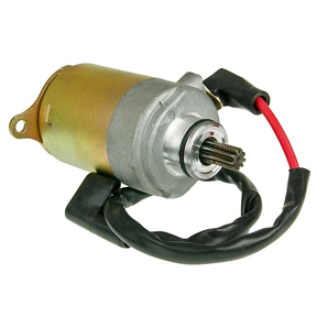 Starter Motor for Genuine Buddy Kick