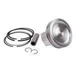 Piston Kit for SYM Citycom 300i