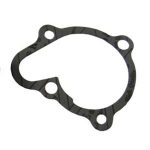 Water Pump Gasket for SYM HD200, RV200