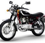 Wolf 150 4T A/C