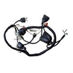 Wire Harness for 50cc TaoTao New Racer