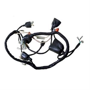 Wire Harness for 50cc TaoTao New Racer