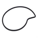 Water Pump Cover O-Ring for 200cc Vespa GT200, Piaggio BV200