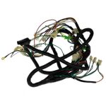 Wire Harness for TaoTao Roman 50