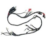 Wire Harness for 150cc GY6B Lance Phoenix, ZN150T-18