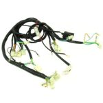 Wire Harness for 50cc 2-Stroke Genuine Buddy