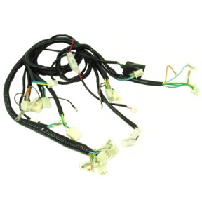 Wire Harness for 50cc 2-Stroke Genuine Buddy