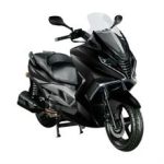 V300i 4T L/C